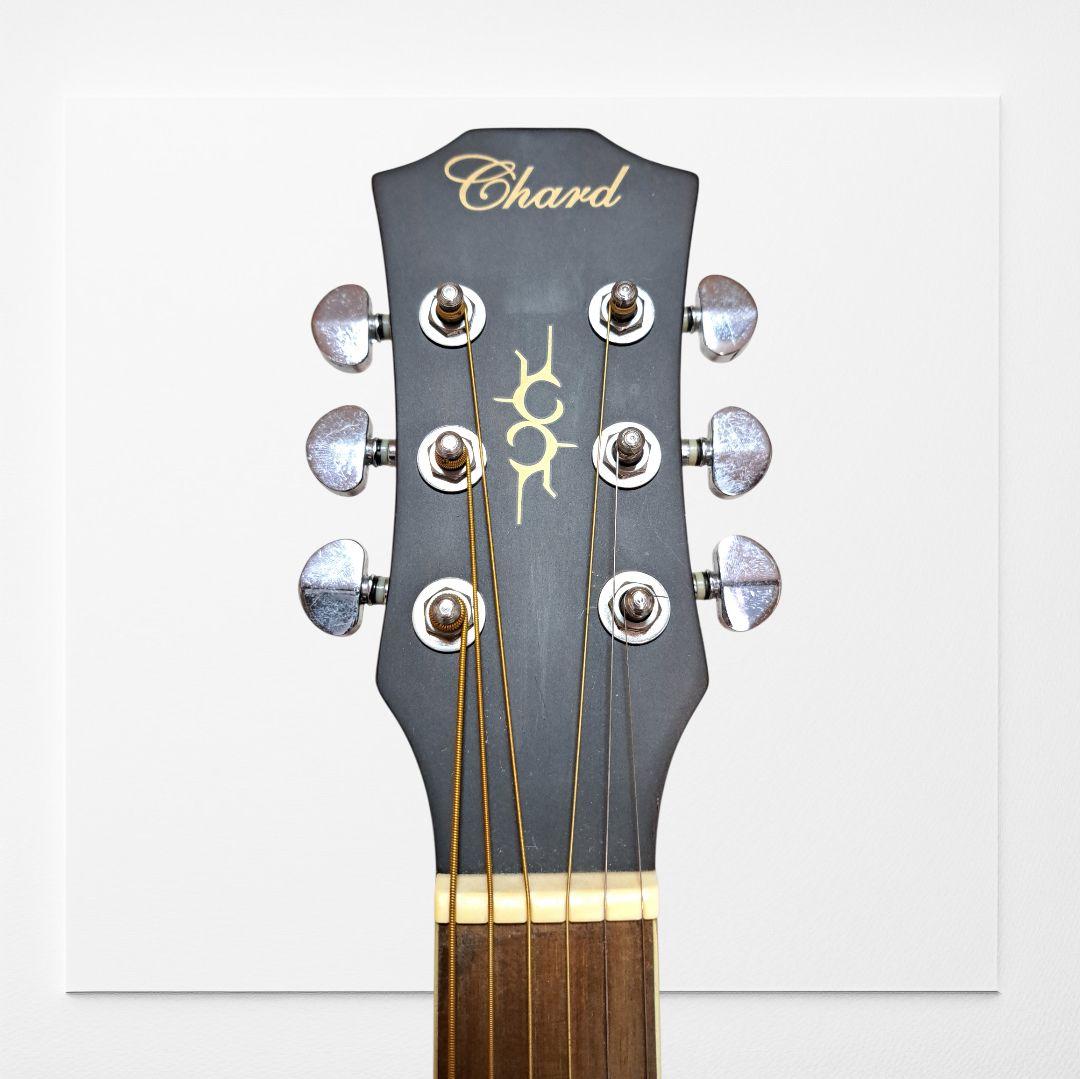 Chard Guitar C3000 シリアルナンバー入り - メルカリ
