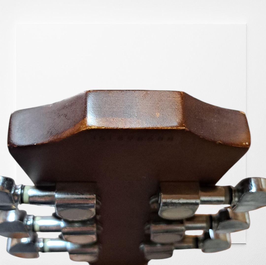 Chard Guitar C3000 シリアルナンバー入り - メルカリ