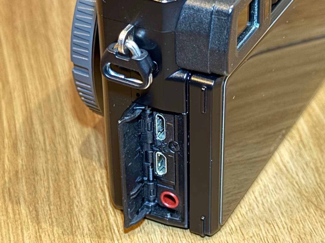 α6100 ダブルズームレンズキット