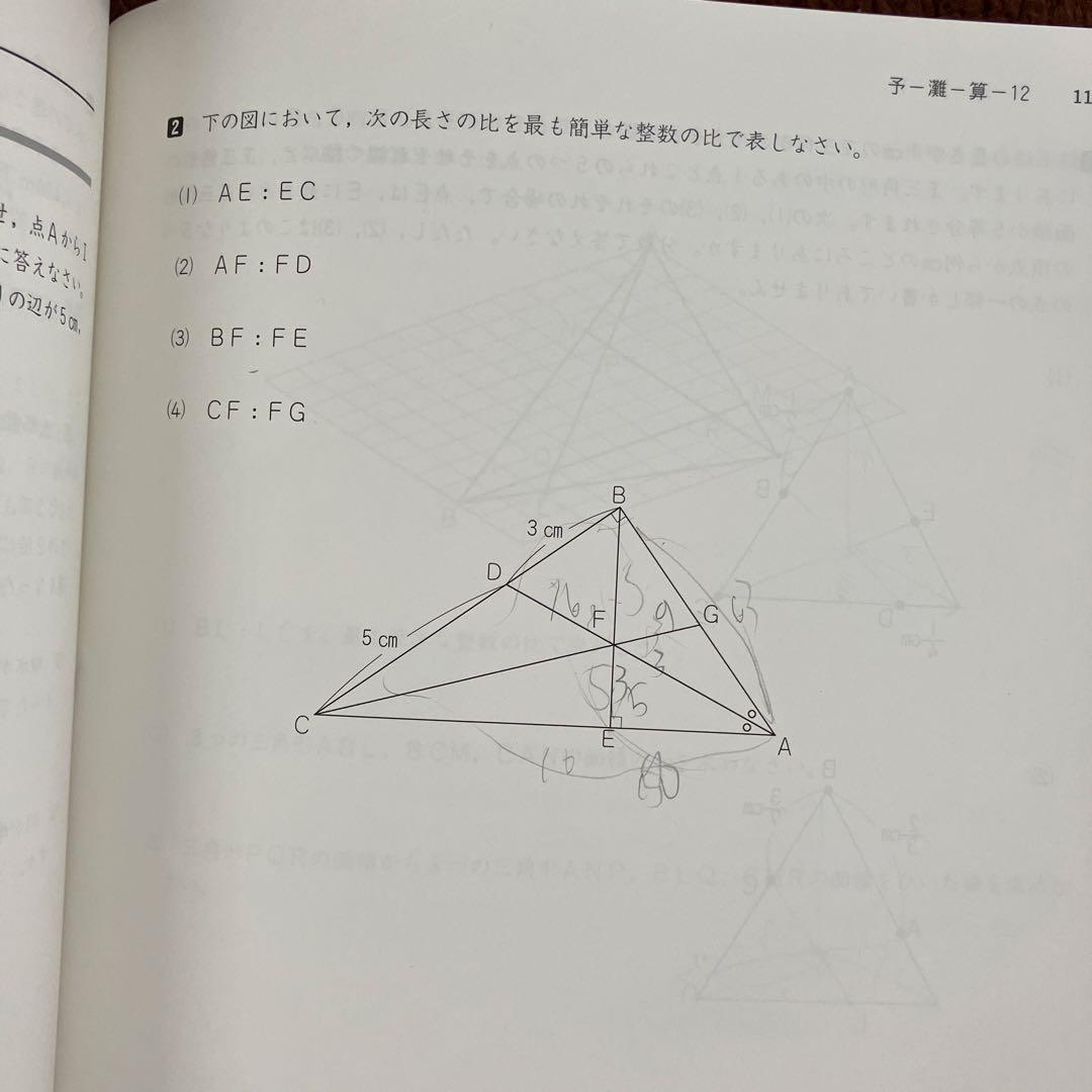 レア】学校別予習シリーズ 灘中学対策 算数 6年下 四谷大塚 - メルカリ