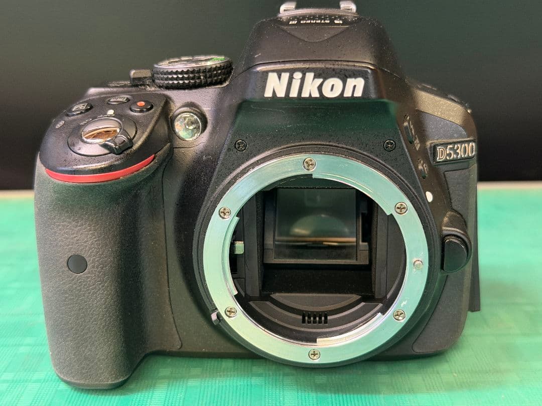 ニコン D5300 ボディ デジタル一眼レフカメラ ショット数3944枚