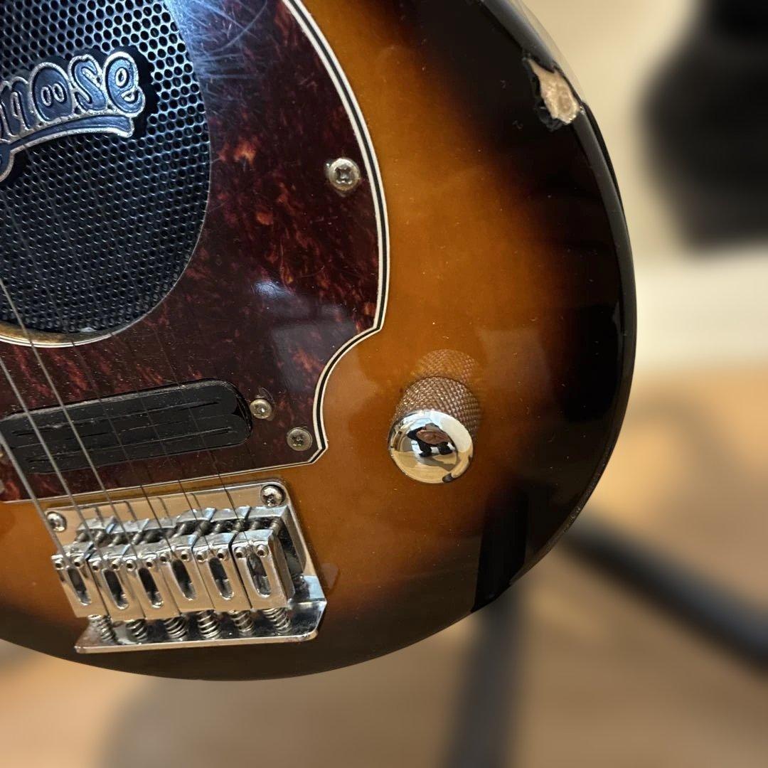 ピグノーズPGG200 サンバースト - メルカリ