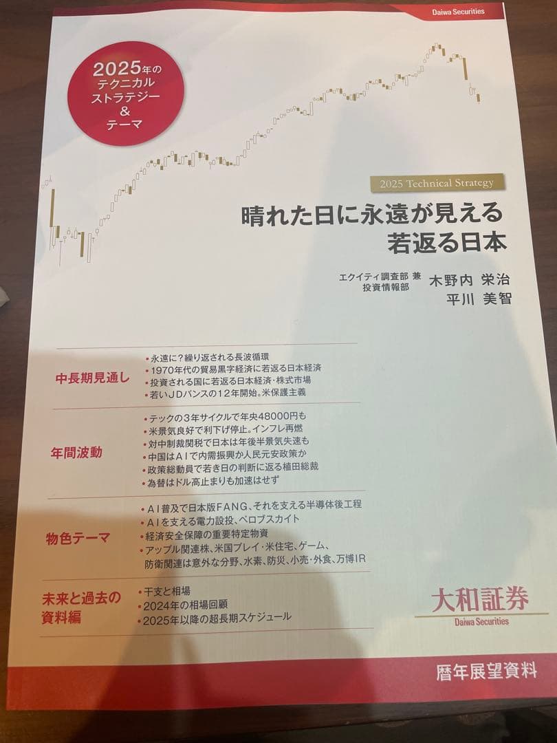 2025年 暦年展望資料 大和証券 株 - メルカリ