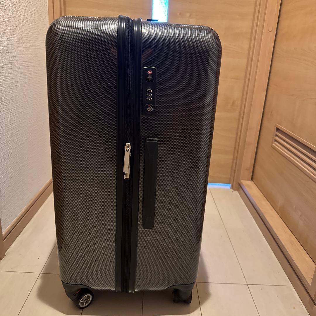 55perikan様専用】 ACE パリセイド100りったーLキャリーケース