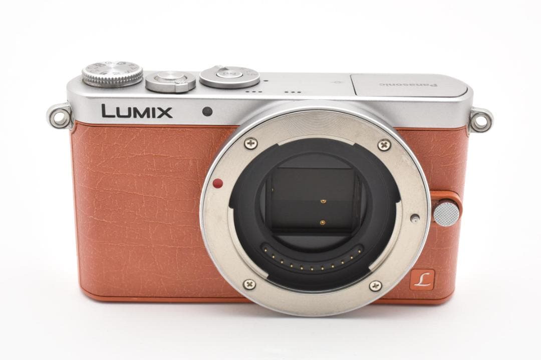 美品 Panasonic DMC-GM1 ショット数525回 1244