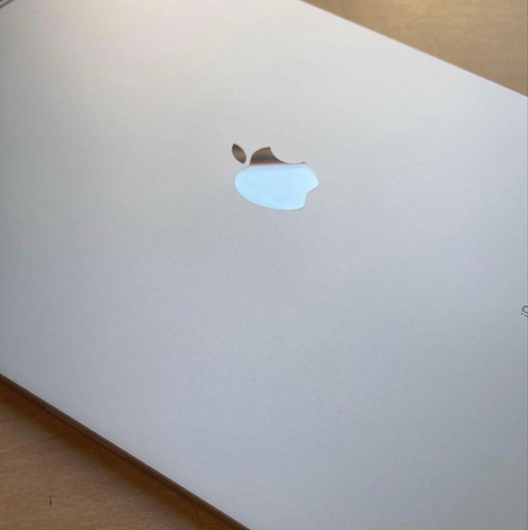 iPad Pro 12.9 第4世代 シルバー　128GB 超美品 #1