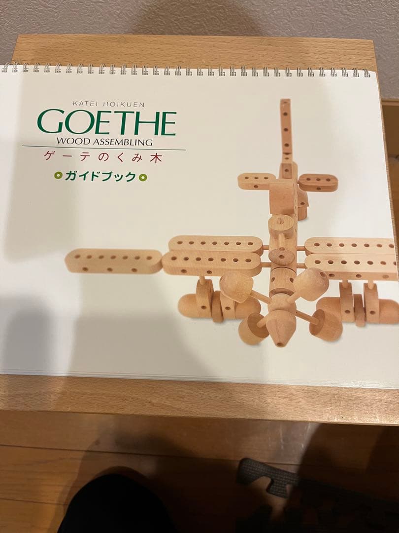 家庭保育園 ゲーテの組み木 木製知育玩具