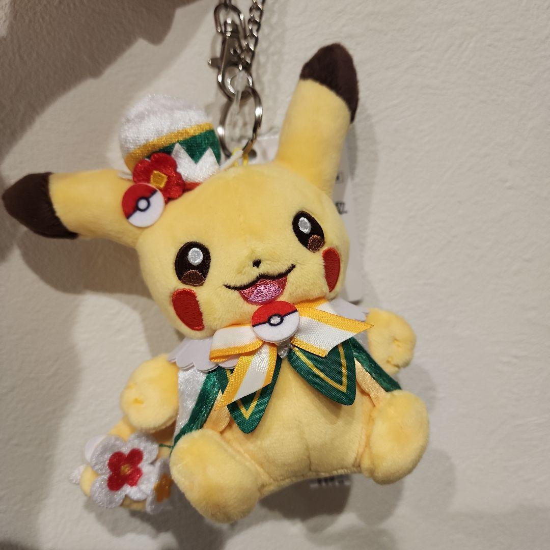 2月5日オープン予定 ポケパークカントー限定 カーニバル衣装 - メルカリ