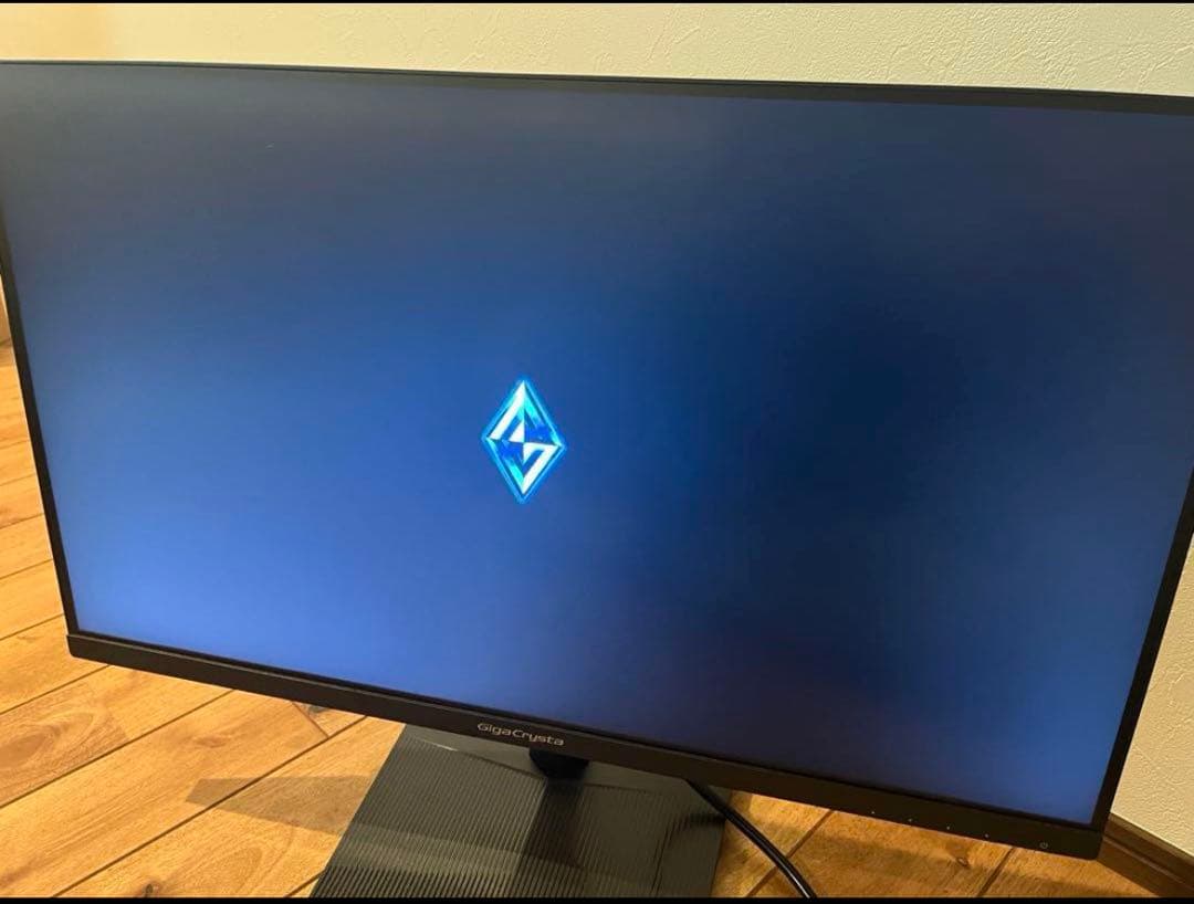 GigaCrysta EX-GD251S 24.5インチ 120Hz 4957180174013_01.jpg