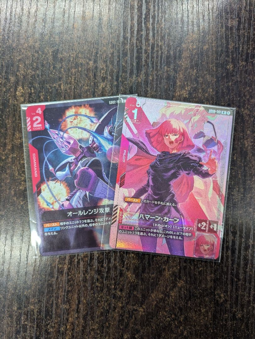 ハマーン・カーン プロモ 未開封 ニュータイプチャレンジ オールレンジ