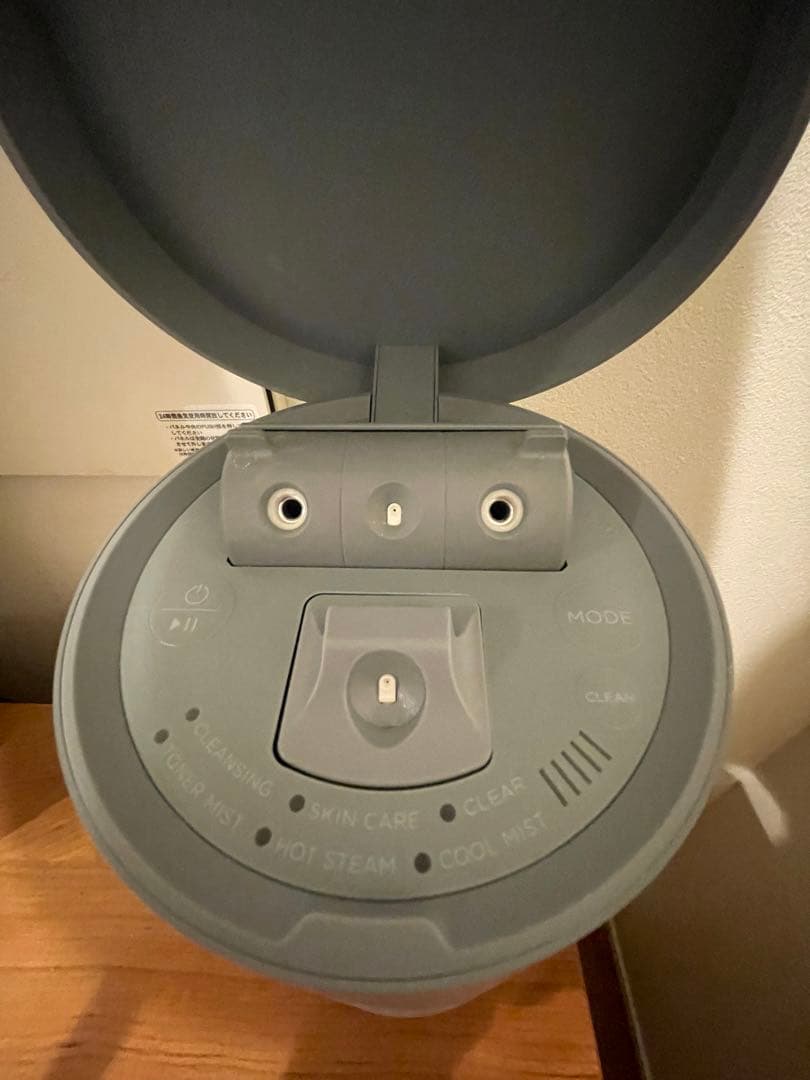 箱付属品付 美品 SALONIA ピュア ブライト スチーマー