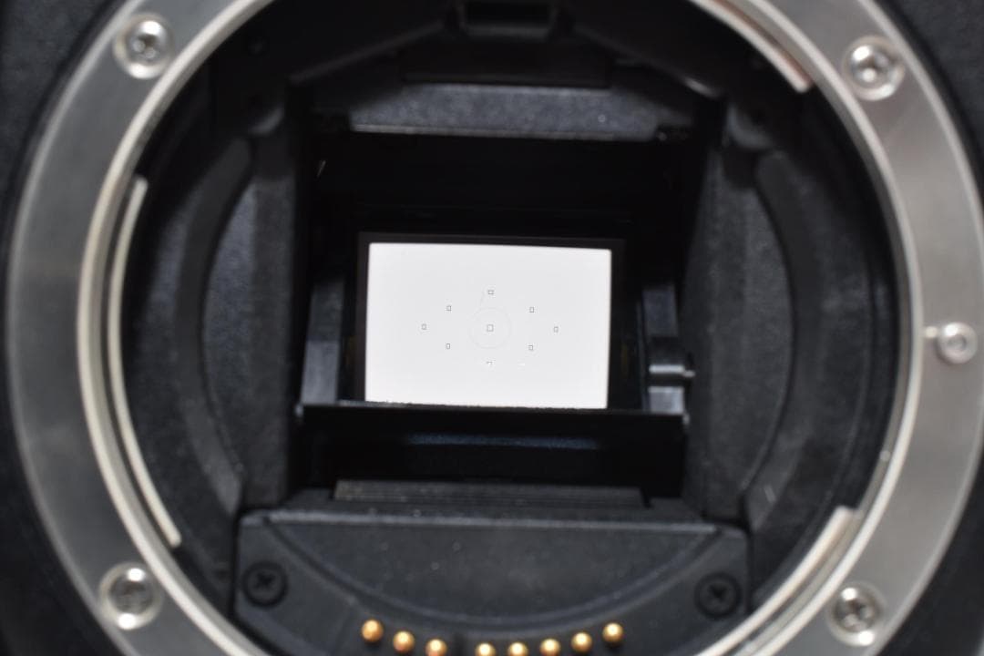 ★美品★Canon キャノン EOS 50D ボディ #21145