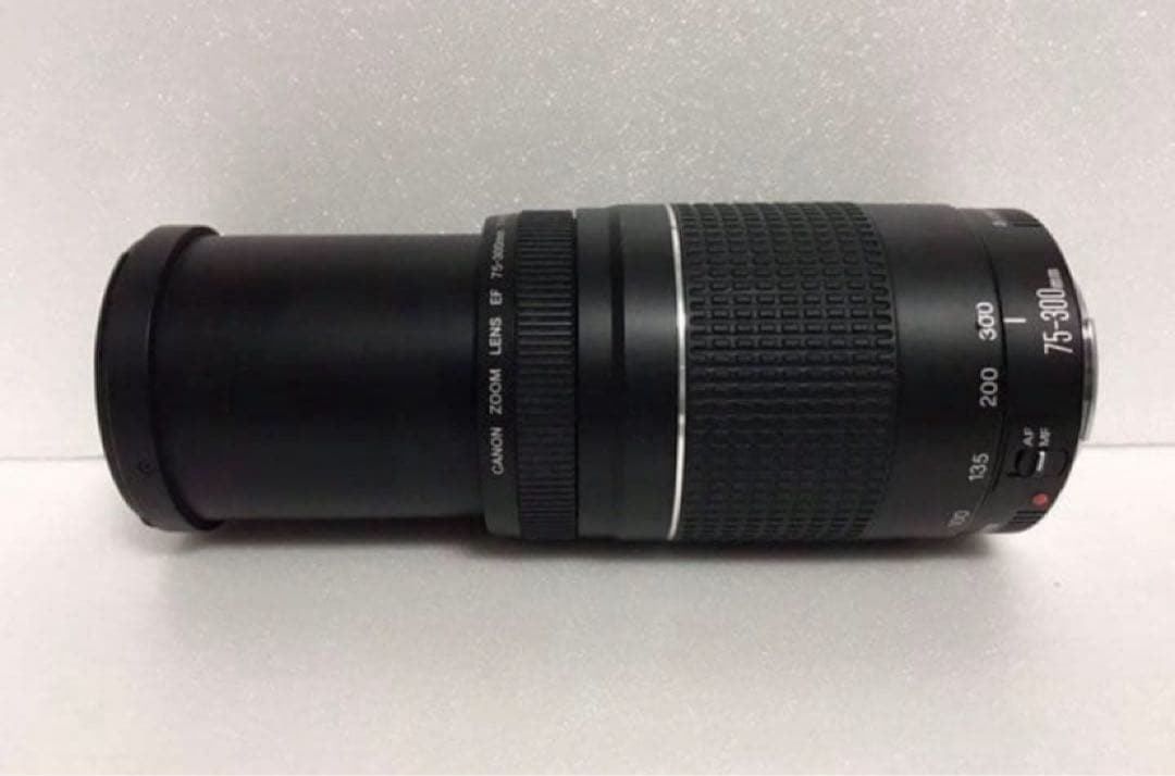 イベント☆キャノン☆大迫力の300㎜☆ Canon EF75-300㎜