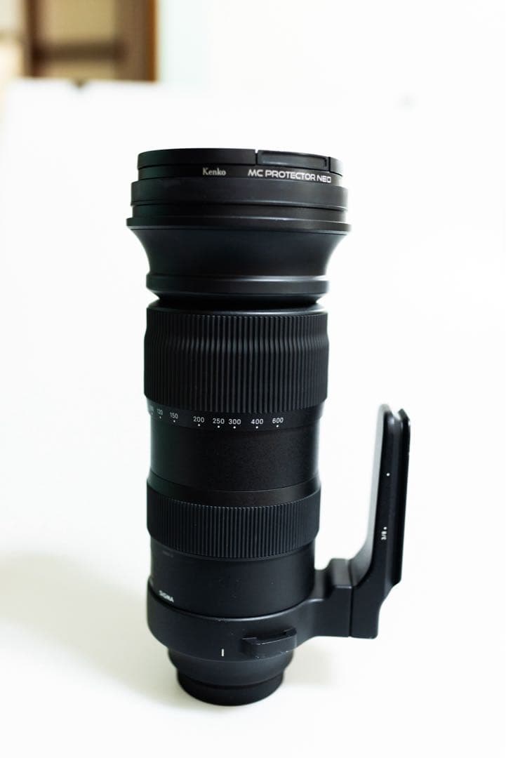 シグマ SIGMA 60-600mm F4.5-6.3 Sports EF