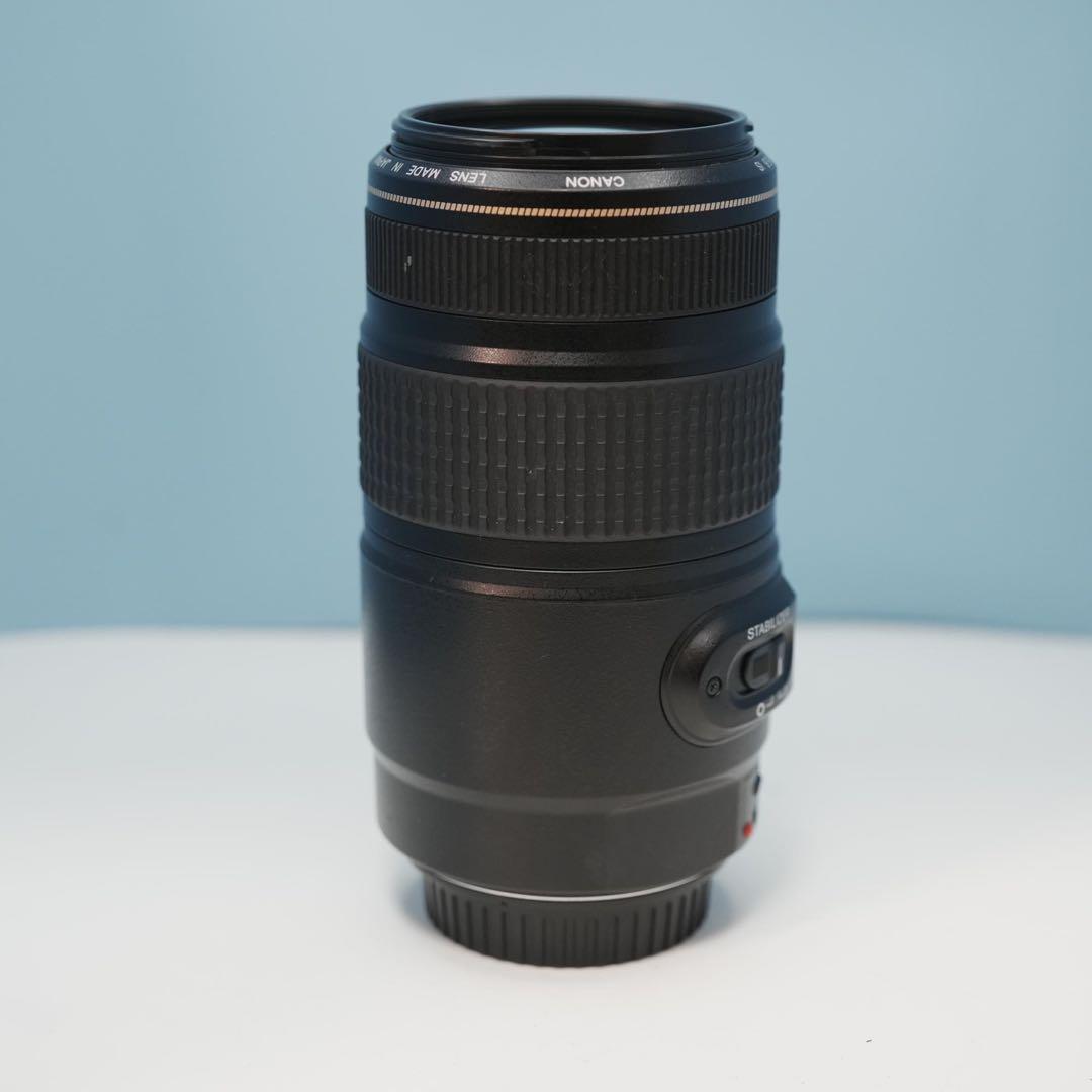 Canon純正 75-300mm 望遠レンズ a3940