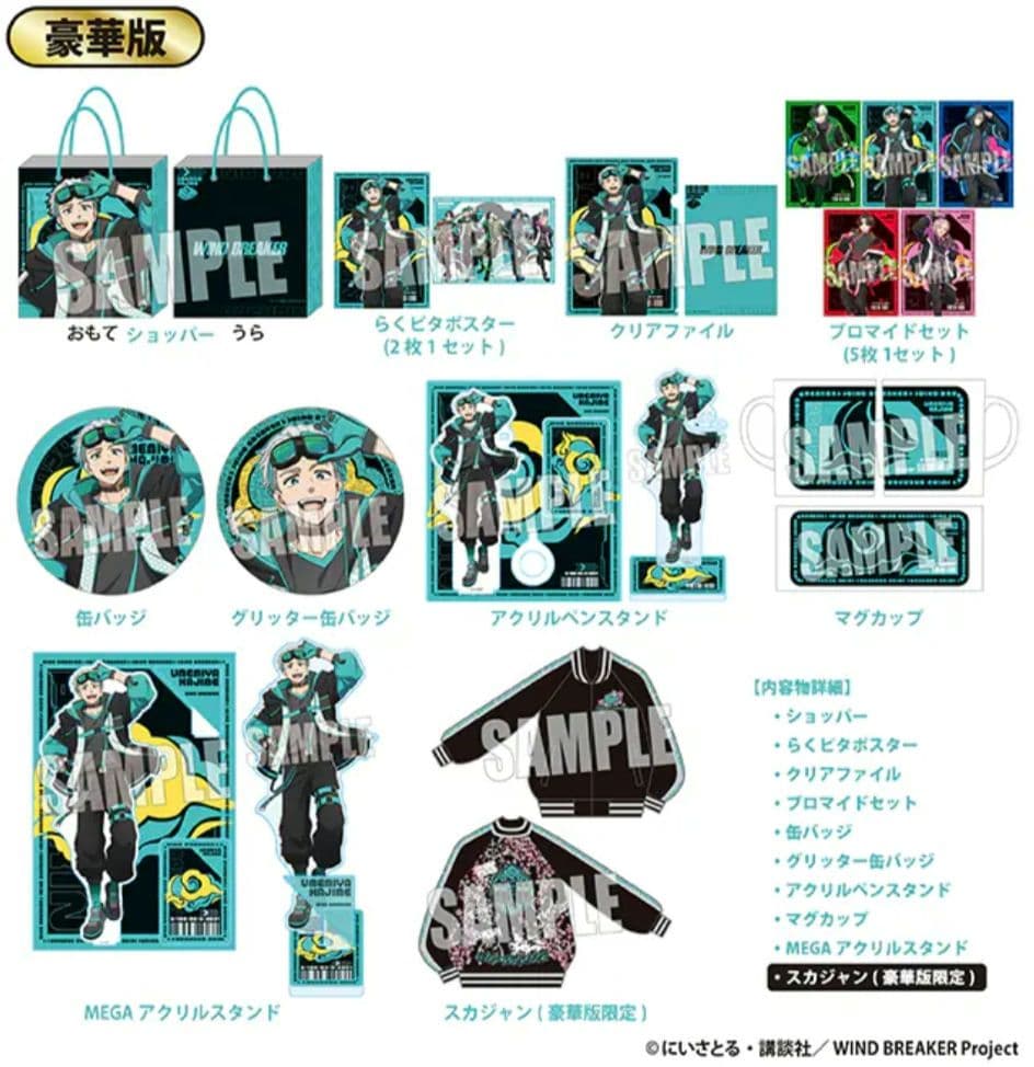 新品未開封】 WIND BREAKER ドンキホーテ ハッピーバッグ 梅宮一