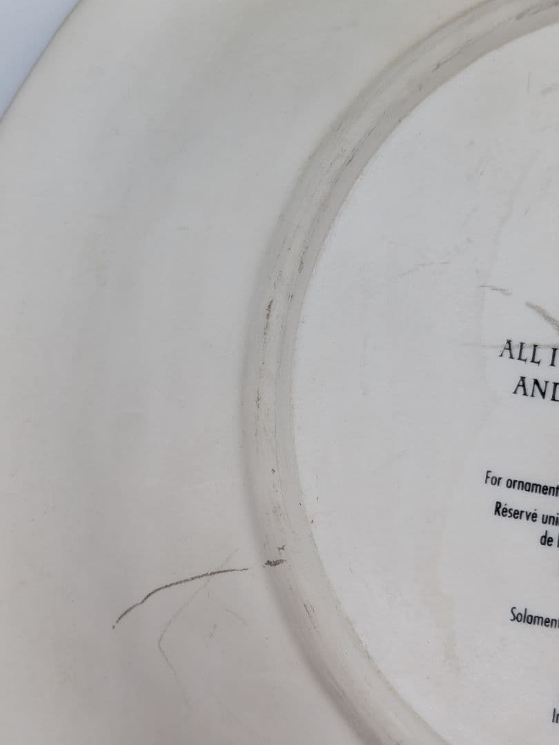 ディズニー ピーターパン 立体 3D 飾り皿