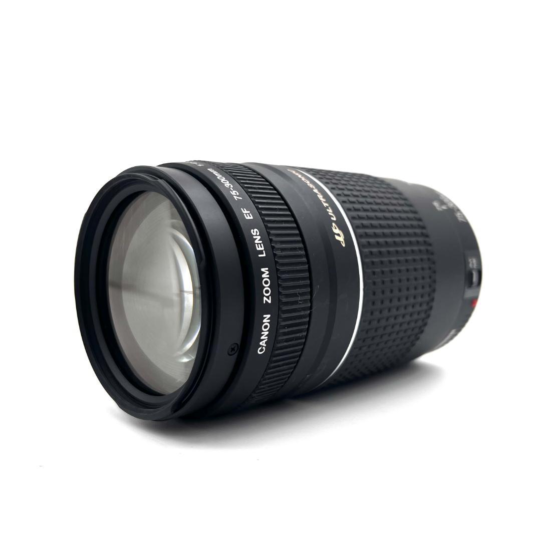 望遠レンズ Canon EF 75-300mm F4-5.6 USM #216