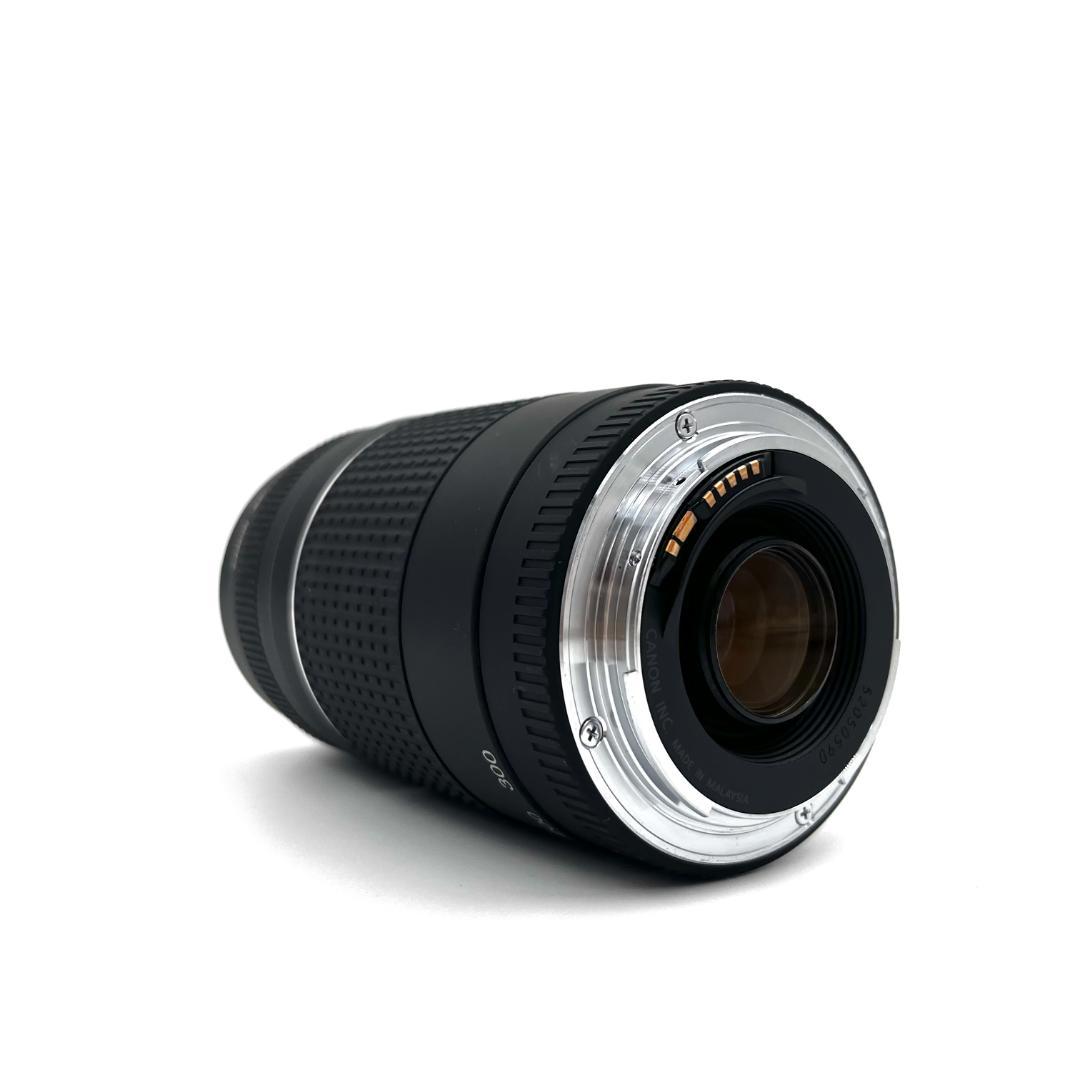 望遠レンズ Canon EF 75-300mm F4-5.6 USM #216