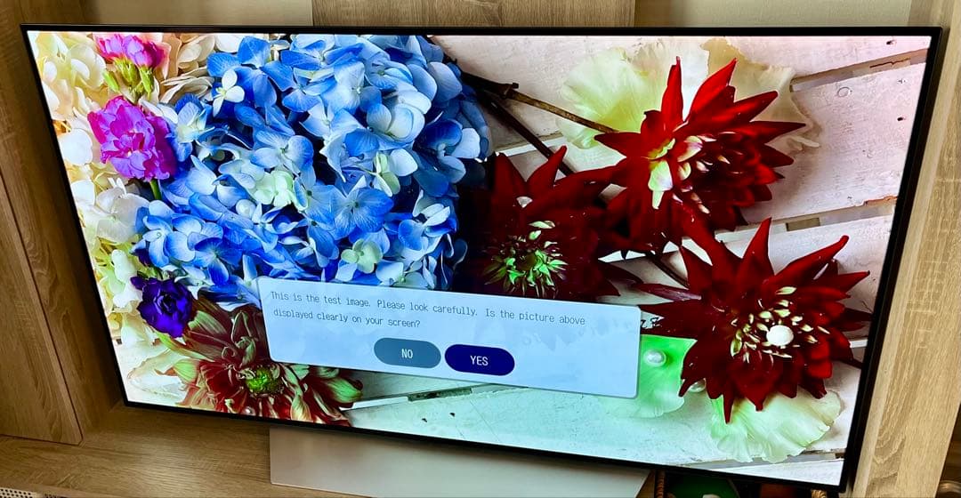 LG 有機EL TV 4K 大型テレビ OLED55C7P [55インチ]