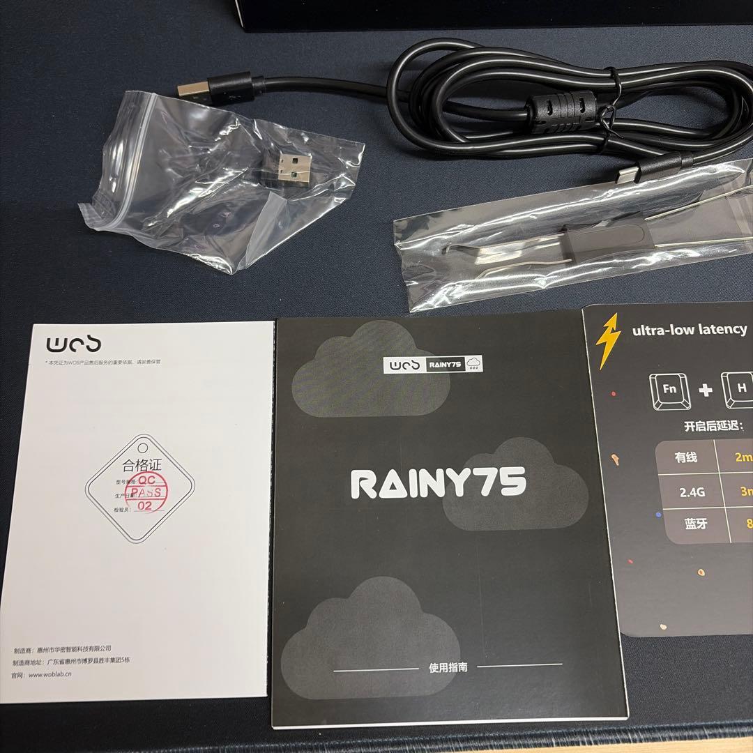 RAINY75 Pro ブラック　WOBKEY