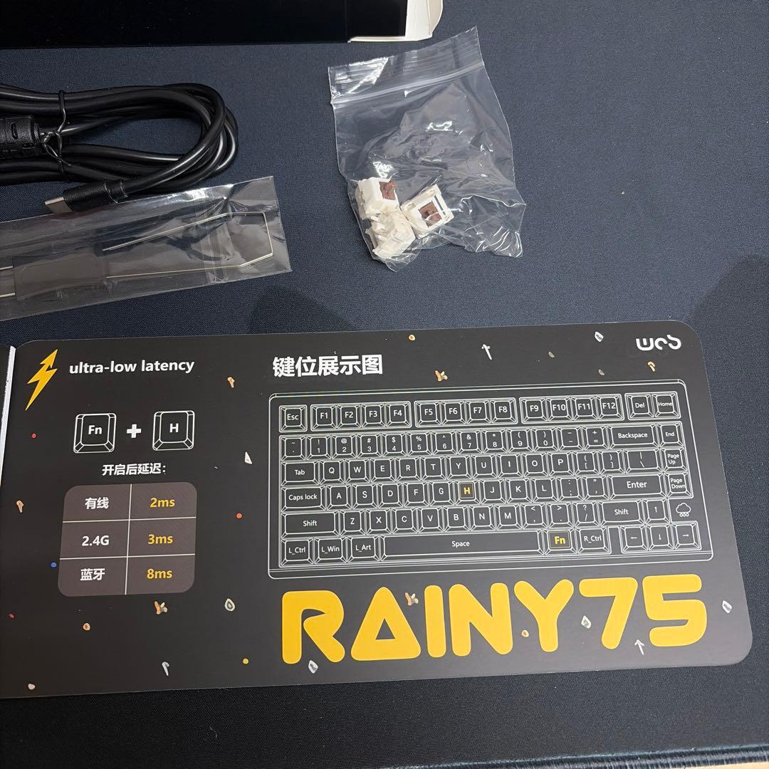 RAINY75 Pro ブラック　WOBKEY