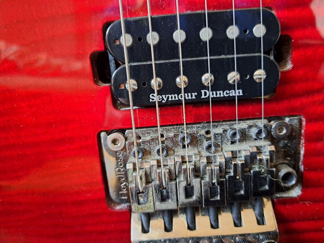 貴重/生産終了】Washburn PXS10FRDLXWB-D - メルカリ