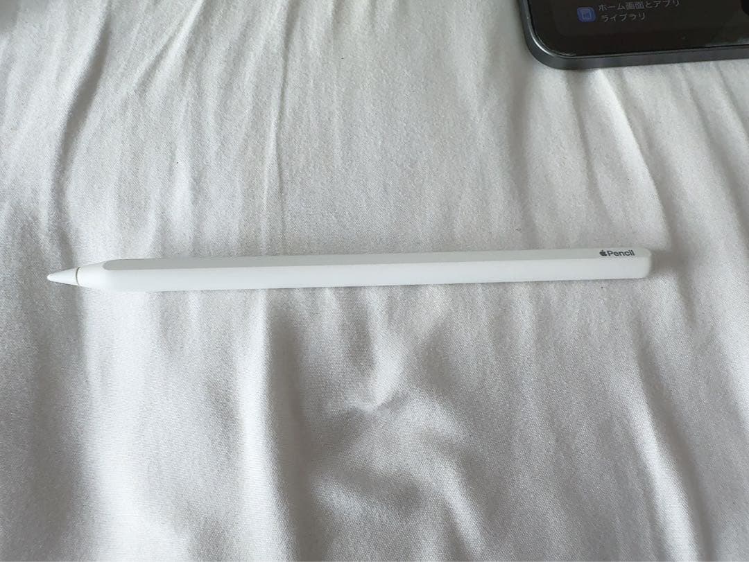 iPad Pro 第3世代 12.9インチ 256G Apple Pencil付