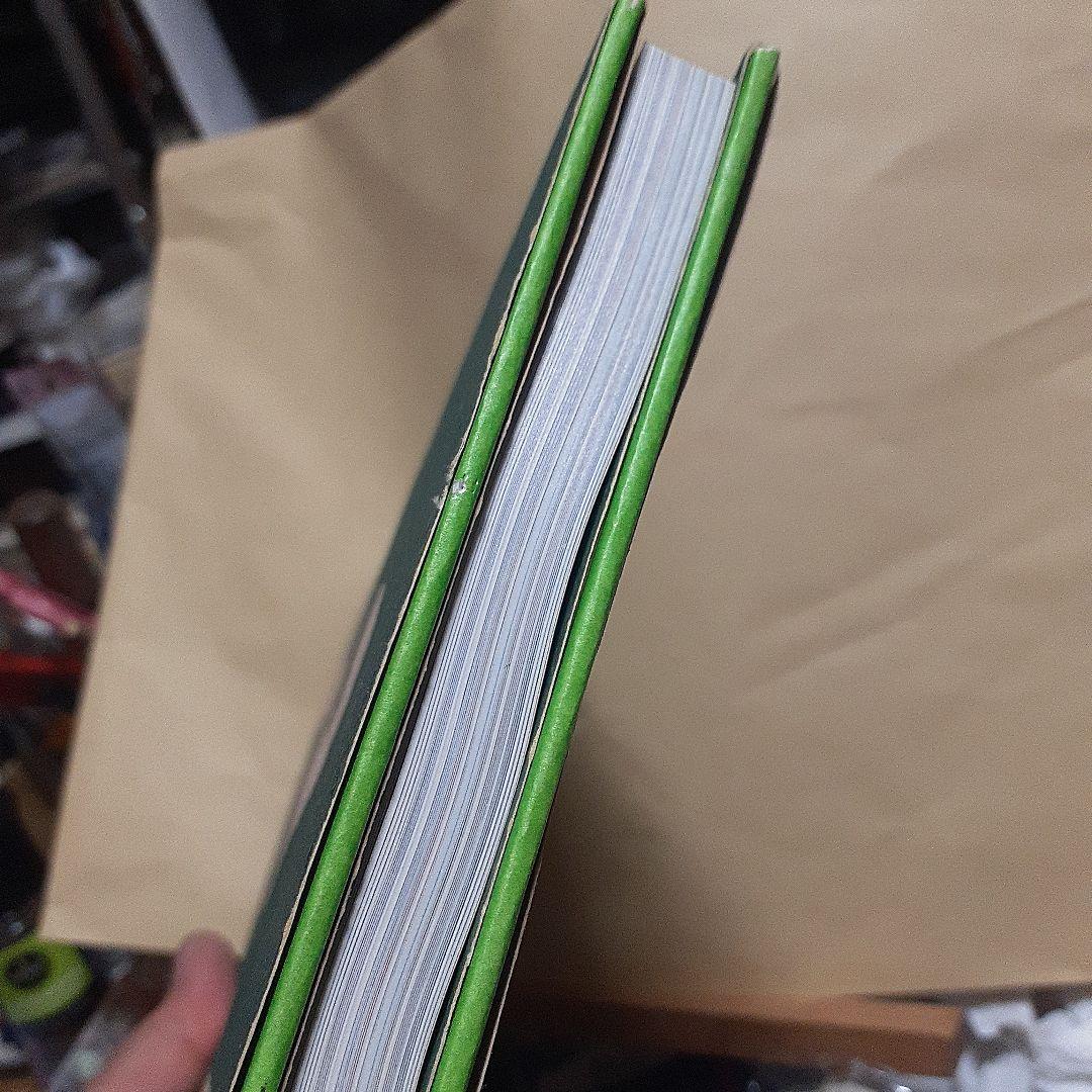 石川洋司 写真集 teens 十代　最終値下げ