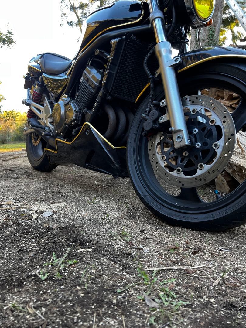 りょう様専用】バリオスⅡ専用 才谷屋アンダーカウル 塗装済み