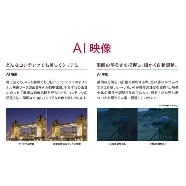 LG 有機ELテレビ 4K OLED 65B9PJA 19年製 引取限定 未使用