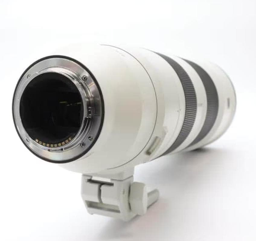 レンズ(ズーム) FE 200-600mm F5.6-6.3 G OSS SEL200600G