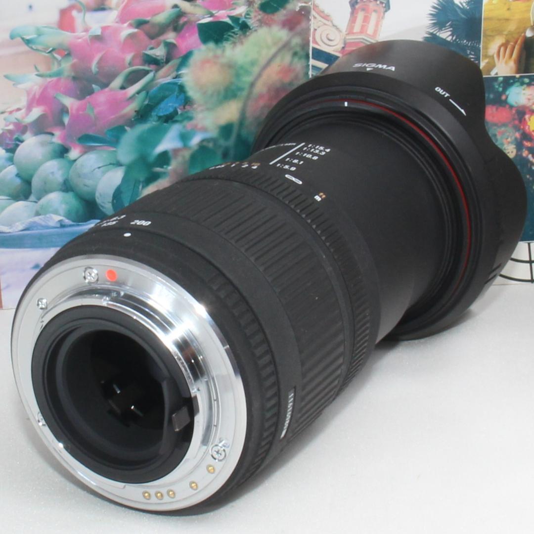 ❤️1本で大満足❤️PENTAX用 シグマ 18-200mm DC ❤️ - メルカリ