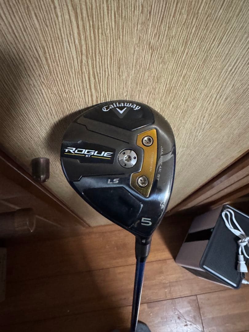 インド ブラックメタル 廃盤 गौतम बुद्ध