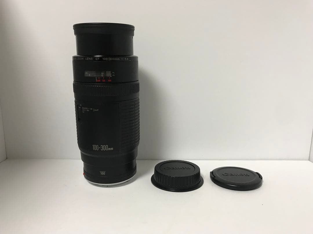 一眼レフカメラCanon ZOOM LENS EF 100-300mm 5.6