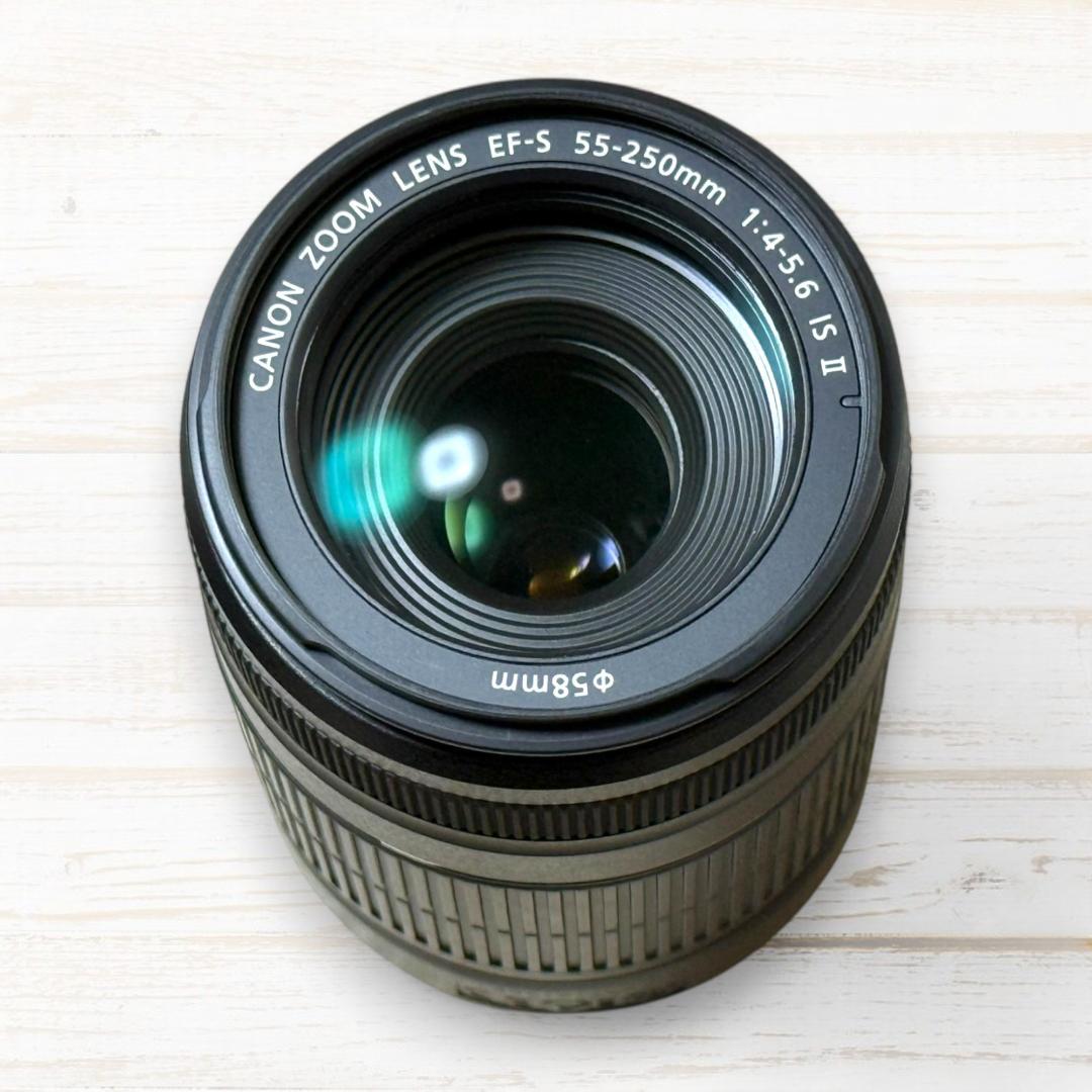 Canon ズームレンズ EF-S 55-250mm IS Ⅱ #87