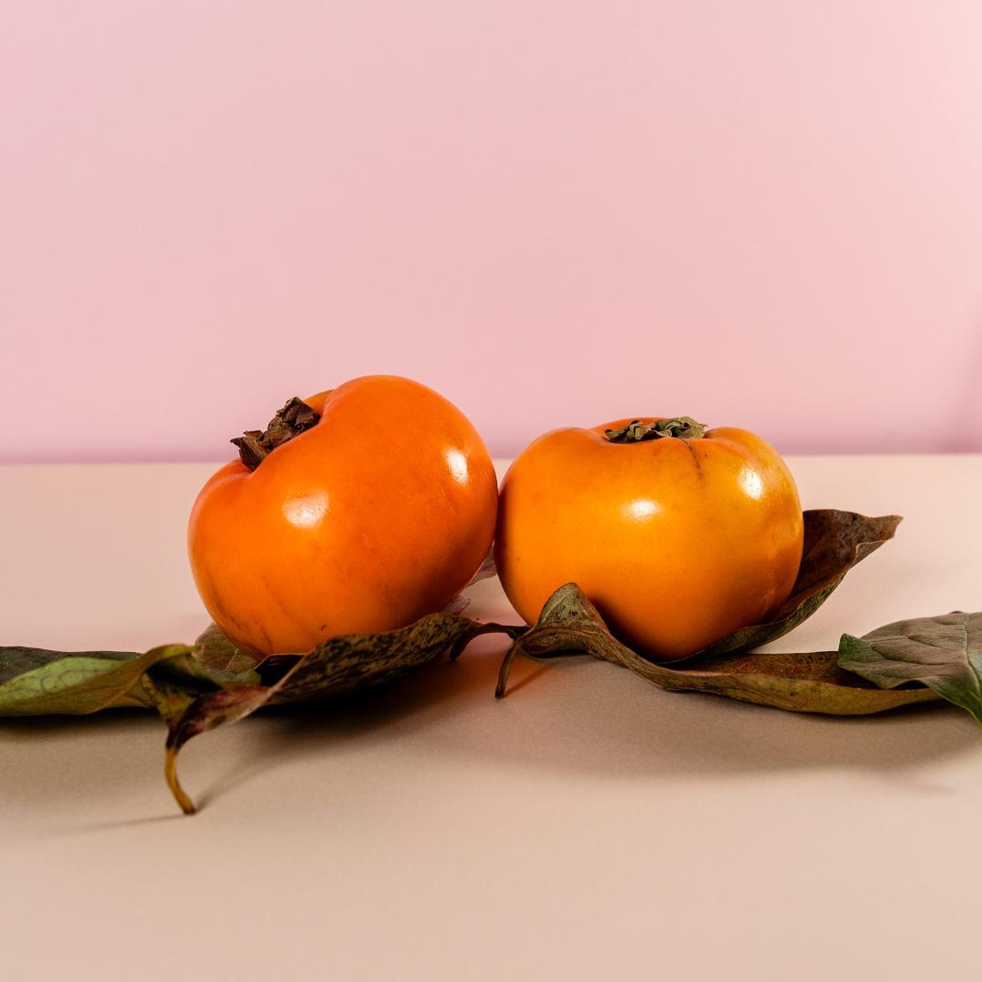 SONY Sonnar T* E 24mm F1.8 ZA（SEL24F18Z）