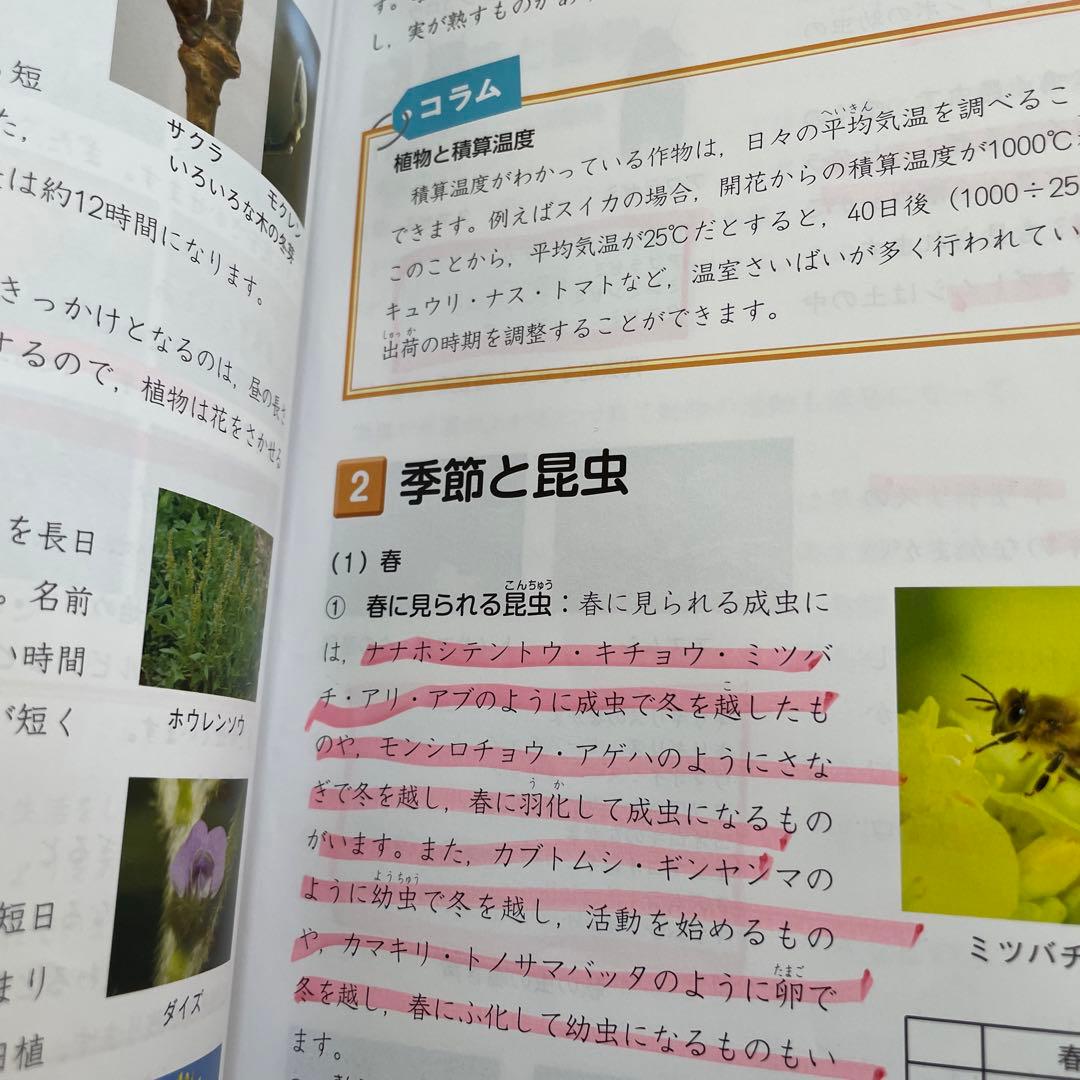 小5 予習シリーズ 上下全巻 四ツ谷大塚 早稲田アカデミー 早稲アカ 5