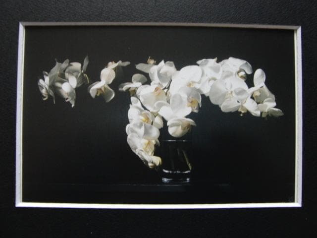 五味 文彦 【白い花】 、希少画集画、状態良好、新品高級額装付 - メルカリ