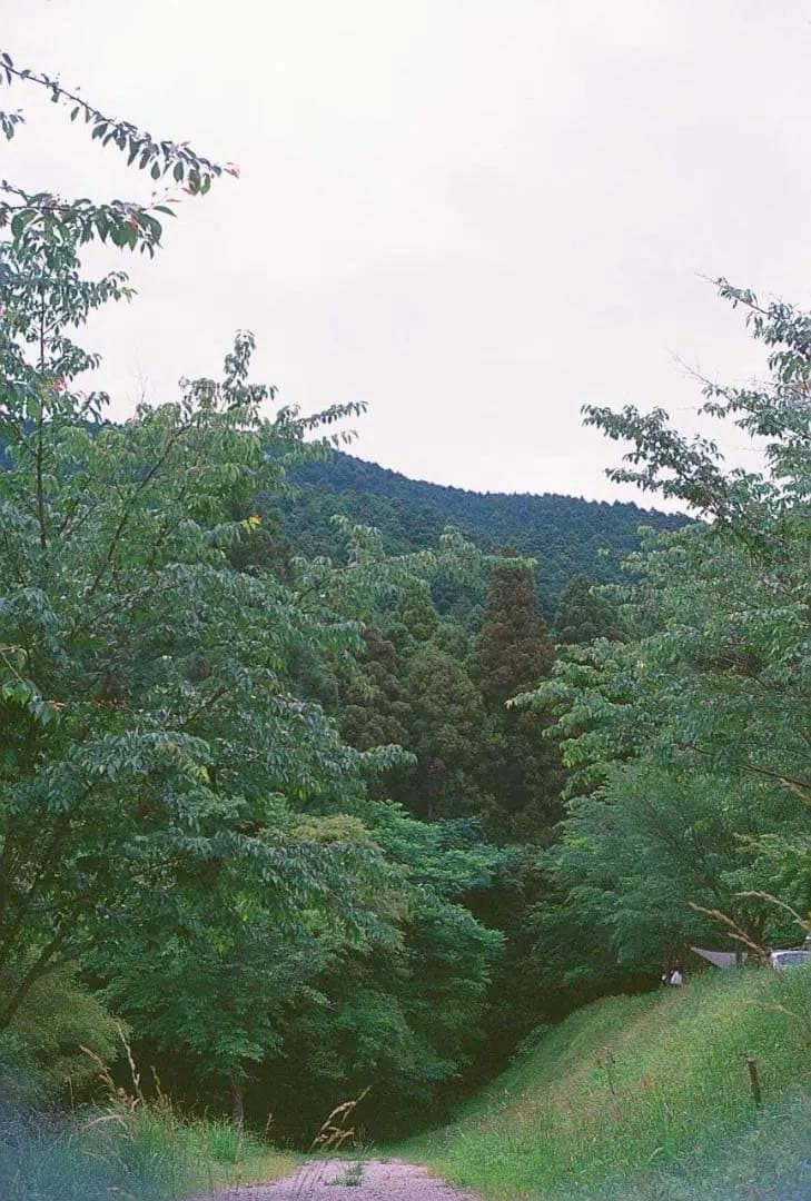 【試写あり】Rolle 35 レンジファインダー ドイツ製