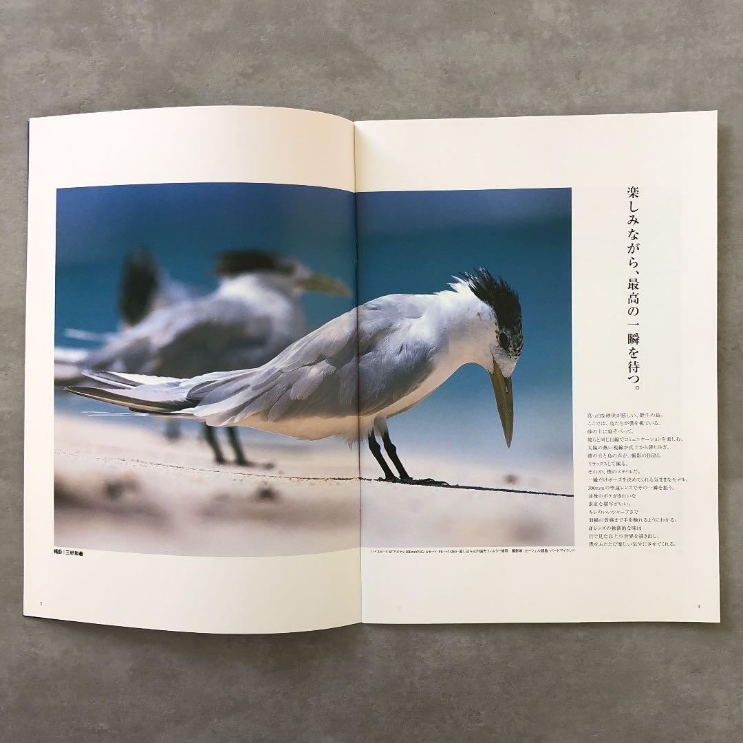 ミノルタ αレンズ カタログ 1999年7月15日 A - メルカリ