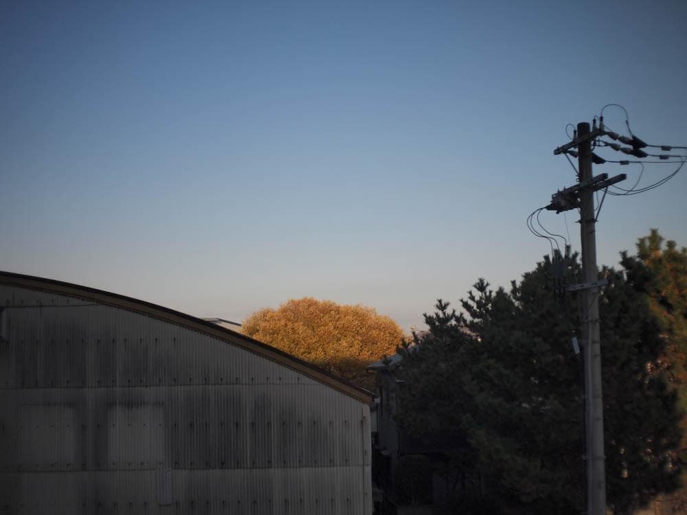 【写ルンです感覚のコンデジ】OLYMPUS PEN E-PL1s 24mm