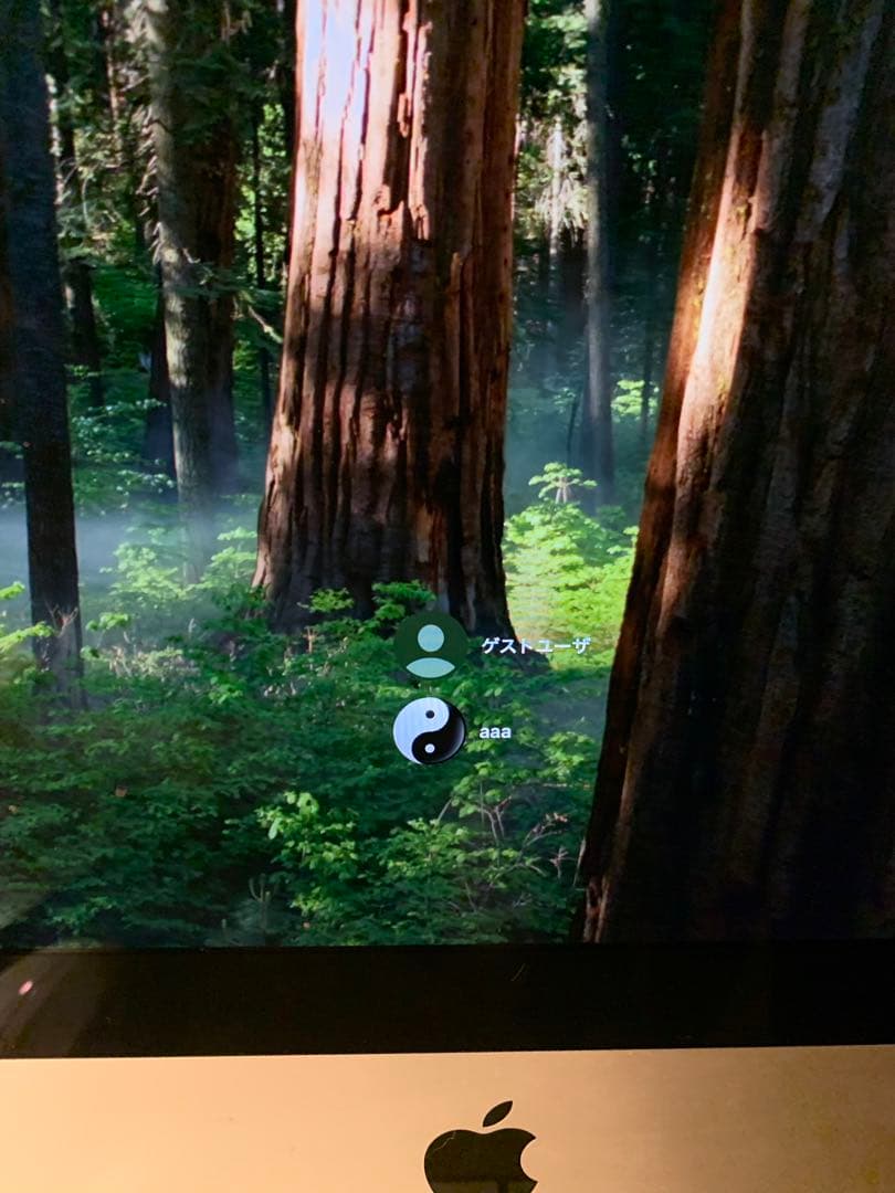 iMac【Retina 4Kディスプレイ21.5インチ　2019年購入】