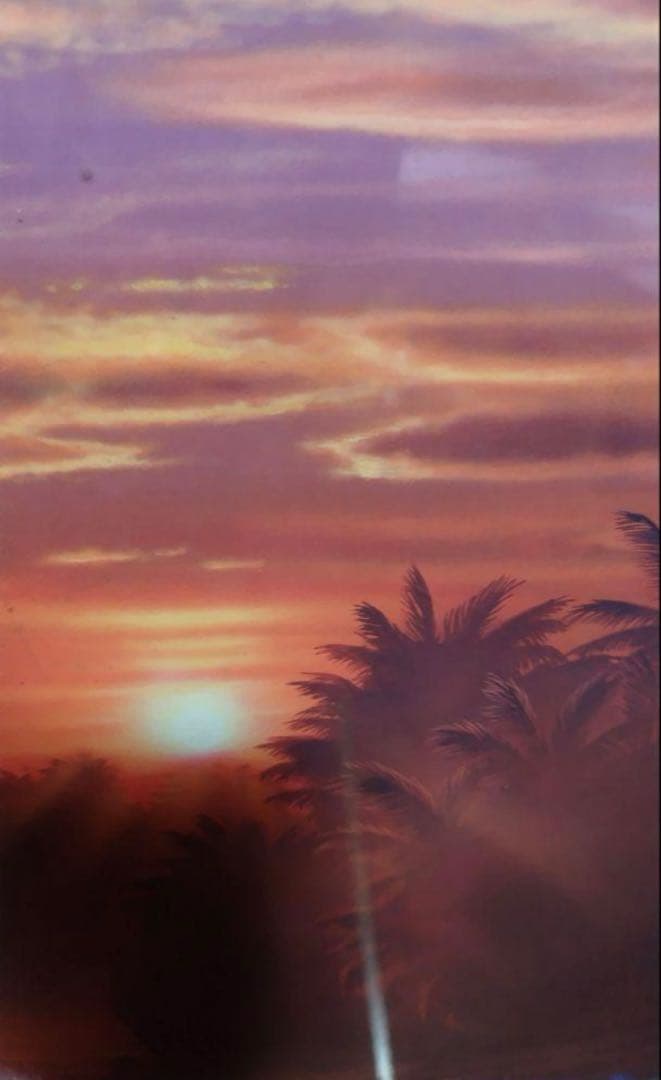 クリスチャンラッセンのゴールデンモーメント額縁 - メルカリ