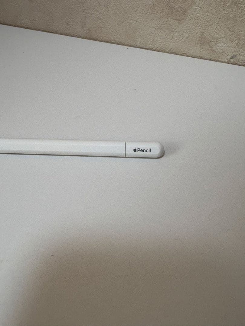 Apple Pencil USB-C 美品