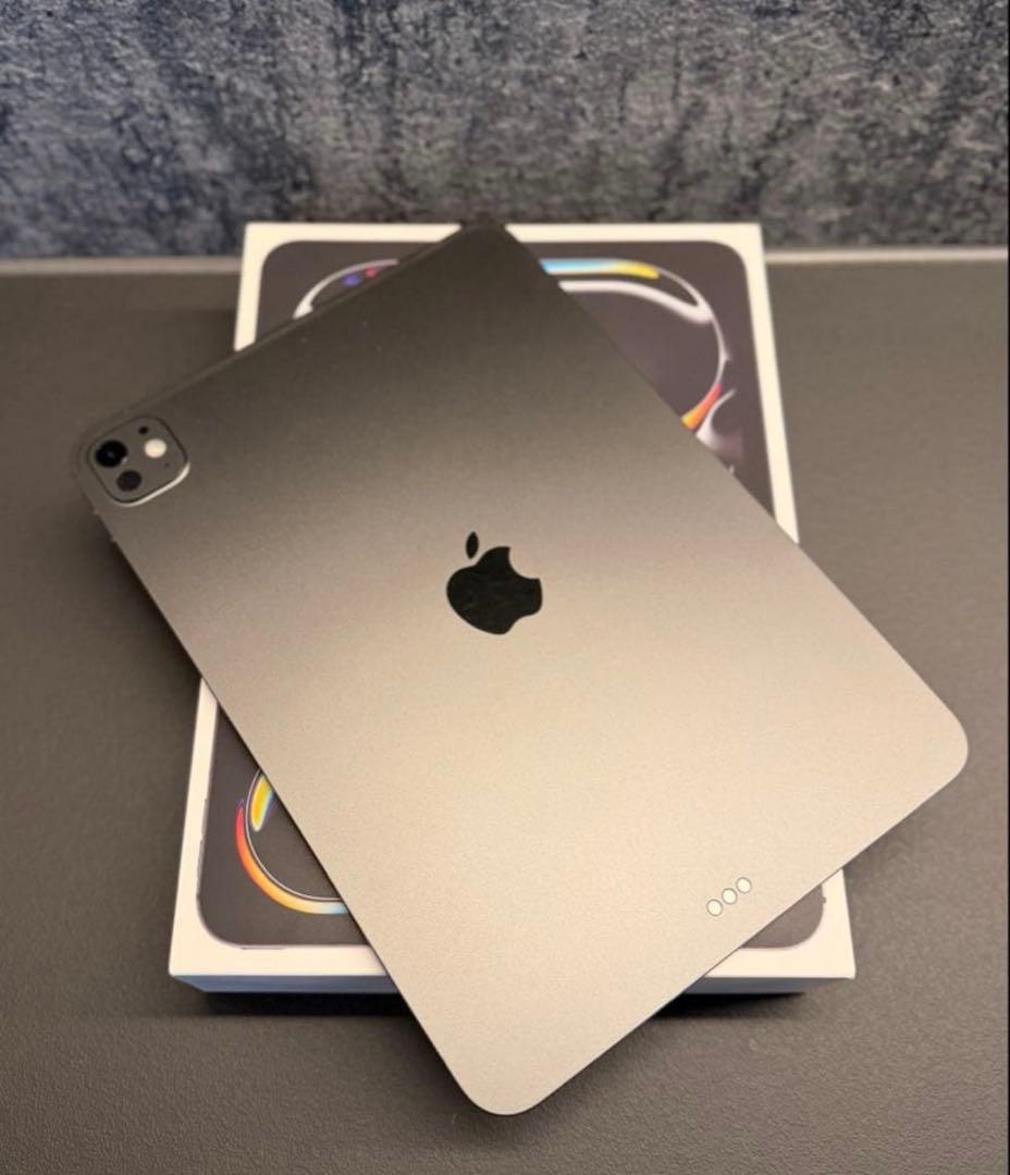 【極美品】iPad Pro M5/11インチ Wi-Fiモデル 256GB