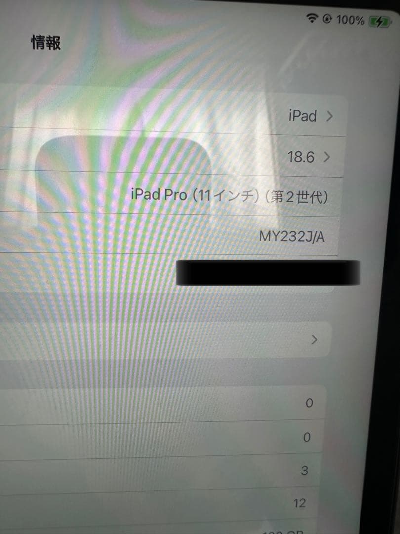 iPad Pro 11 第二世代 Wi-Fi Apple Pencil付き