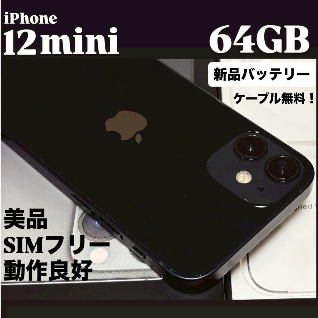 動作良好】iPhone 12 mini 64GB ブラック SIMフリー 本体 - メルカリ
