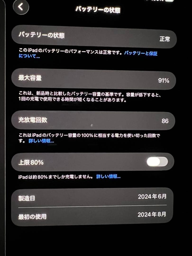 iPad Pro 11インチ 256GB Wifiモデル 正規品