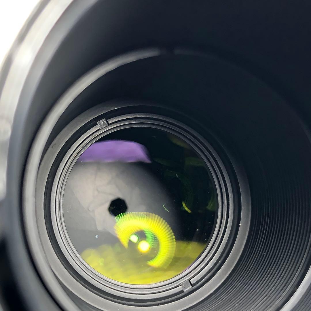 ピンクの猫 さま　CarlZeiss 300mm f4 Y/Cマウント